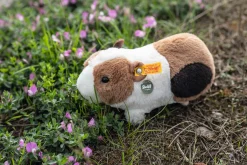 Fashion Steiff Dalle guinea pig with squeaker, 22 cm, multicoloured
