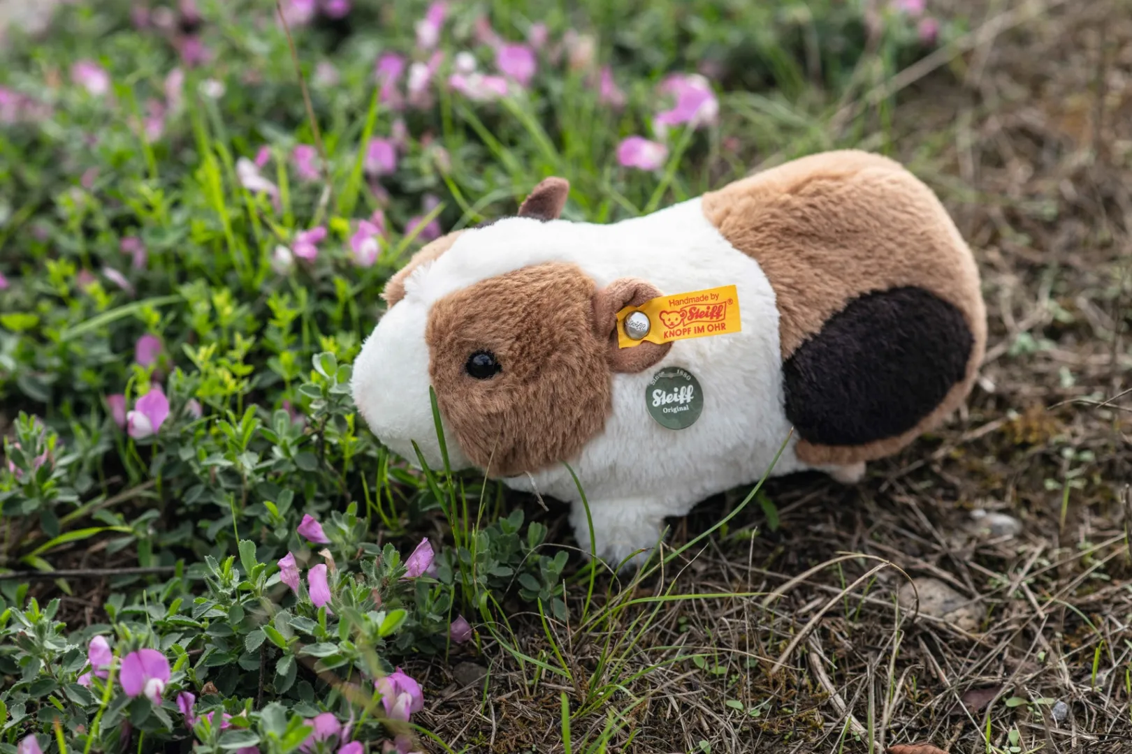 Fashion Steiff Dalle guinea pig with squeaker, 22 cm, multicoloured