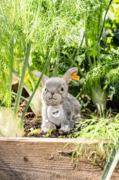 Fashion Steiff Dormili rabbit, 21 cm, light grey