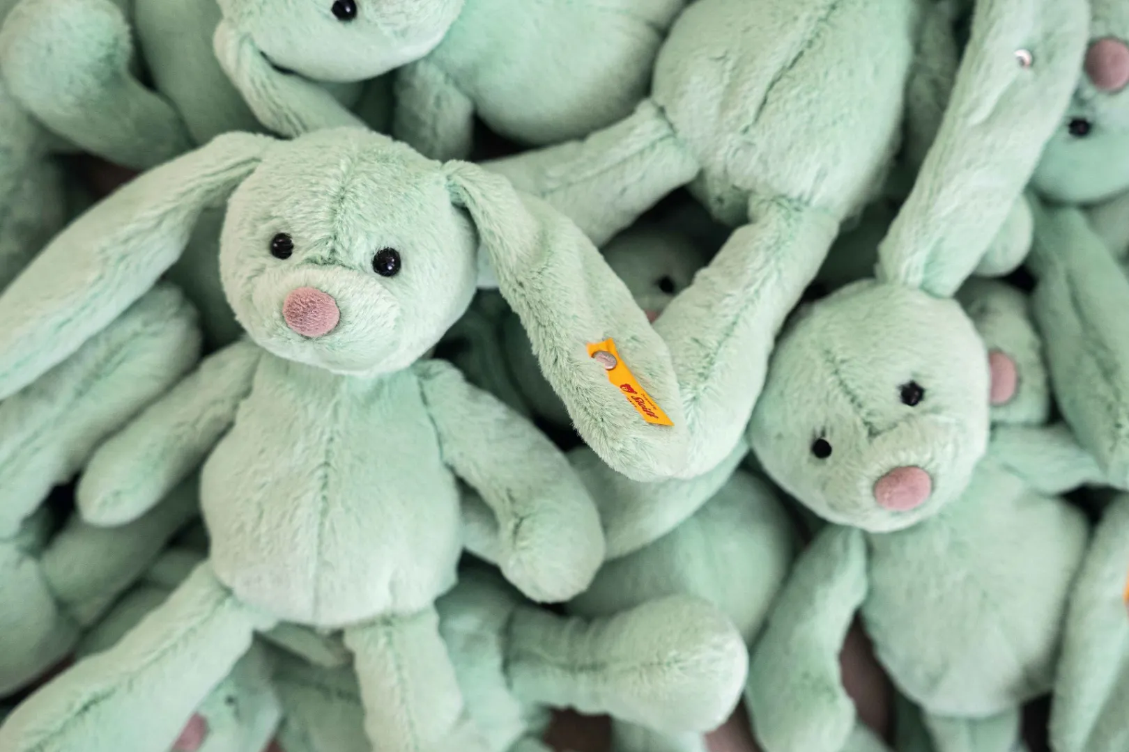 Online Steiff Tilda rabbit, 20 cm, light green